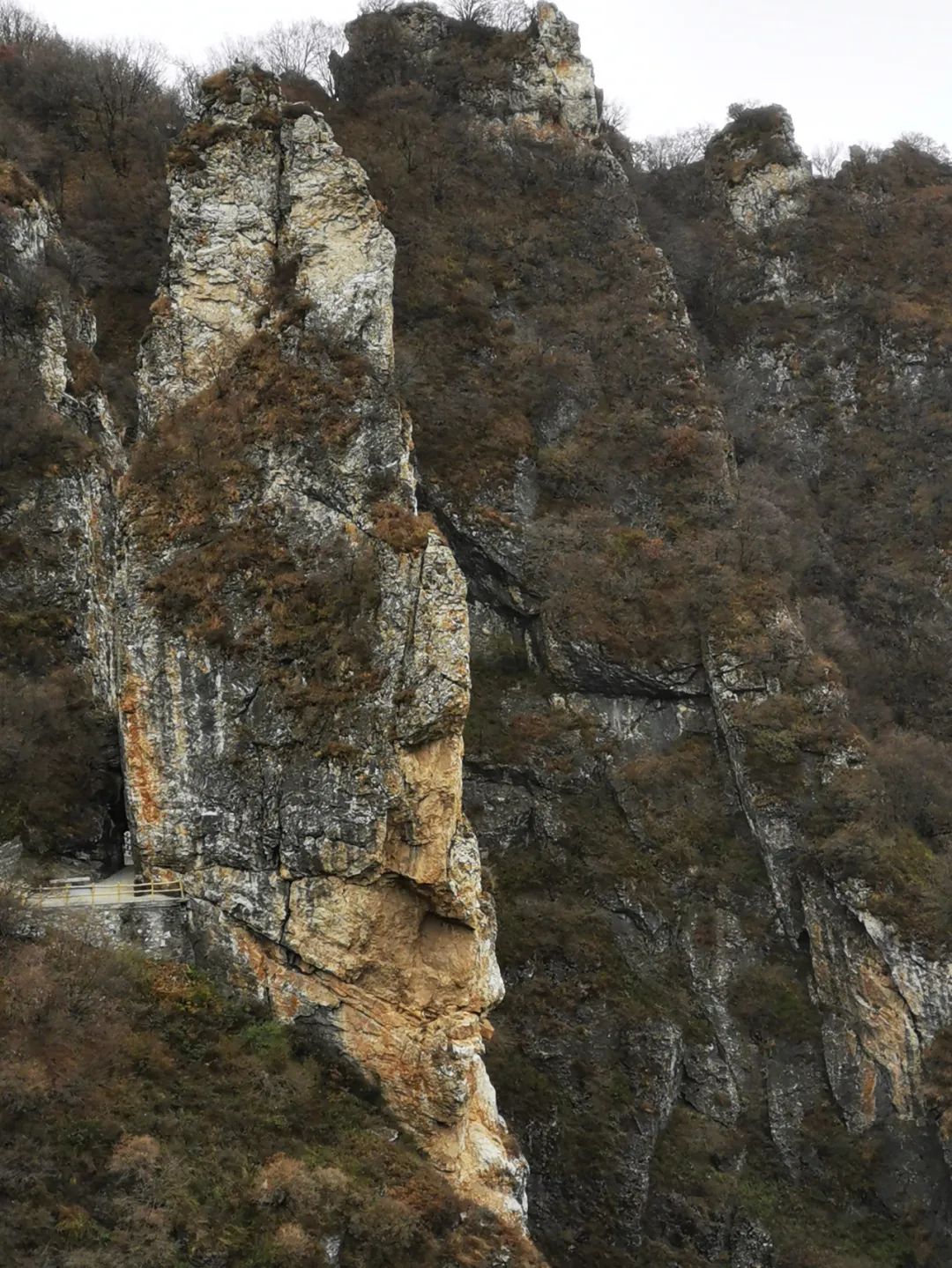 640_wx_fmt=jpeg&wxfrom=5&wx_lazy=1&wx_co=1 (10).jpg