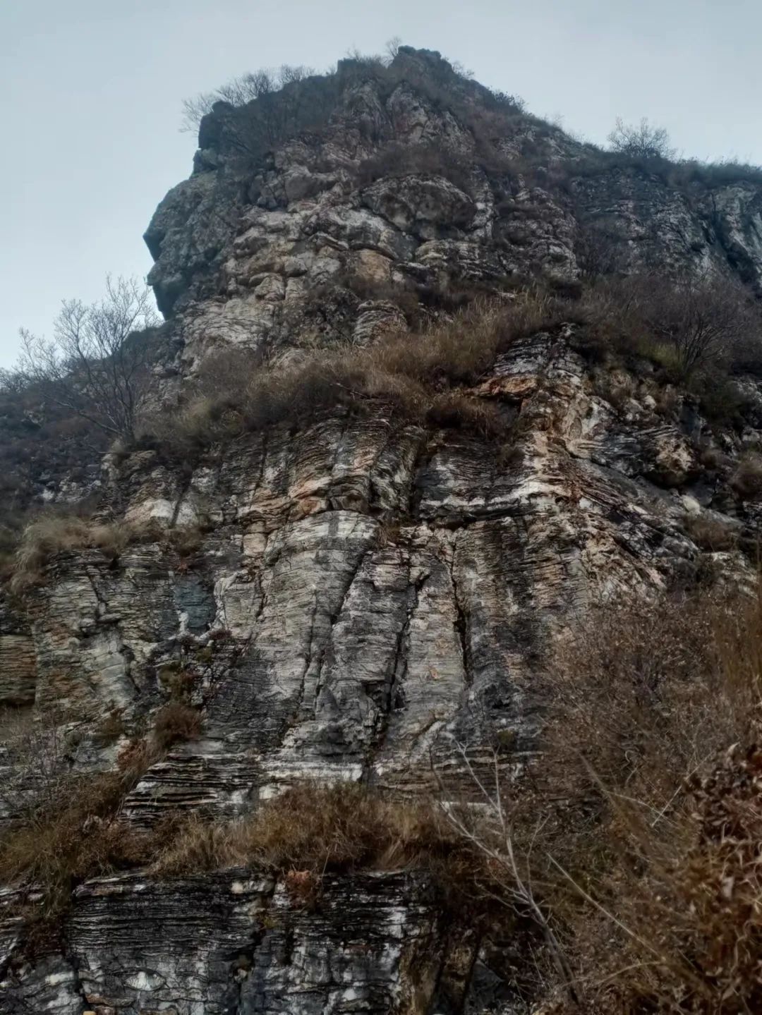 640_wx_fmt=jpeg&wxfrom=5&wx_lazy=1&wx_co=1 (13).jpg