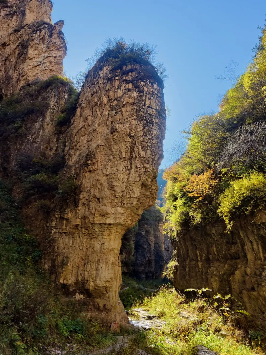 640_wx_fmt=jpeg&wxfrom=5&wx_lazy=1&wx_co=1 (3).jpg