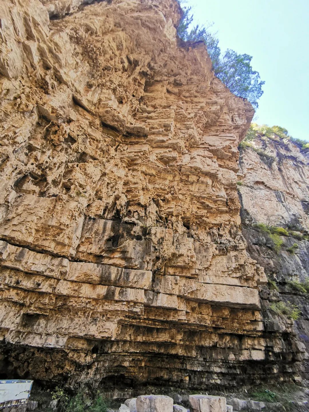 640_wx_fmt=jpeg&wxfrom=5&wx_lazy=1&wx_co=1 (9).jpg