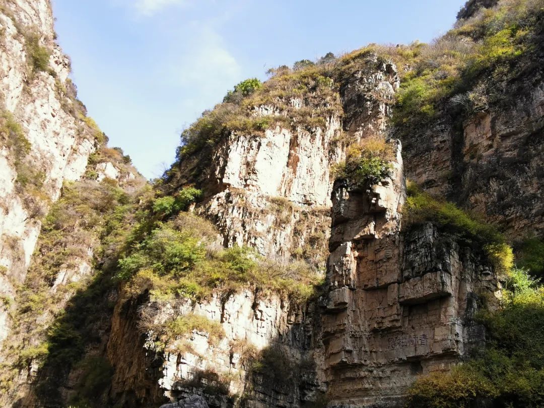 640_wx_fmt=jpeg&wxfrom=5&wx_lazy=1&wx_co=1 (15).jpg