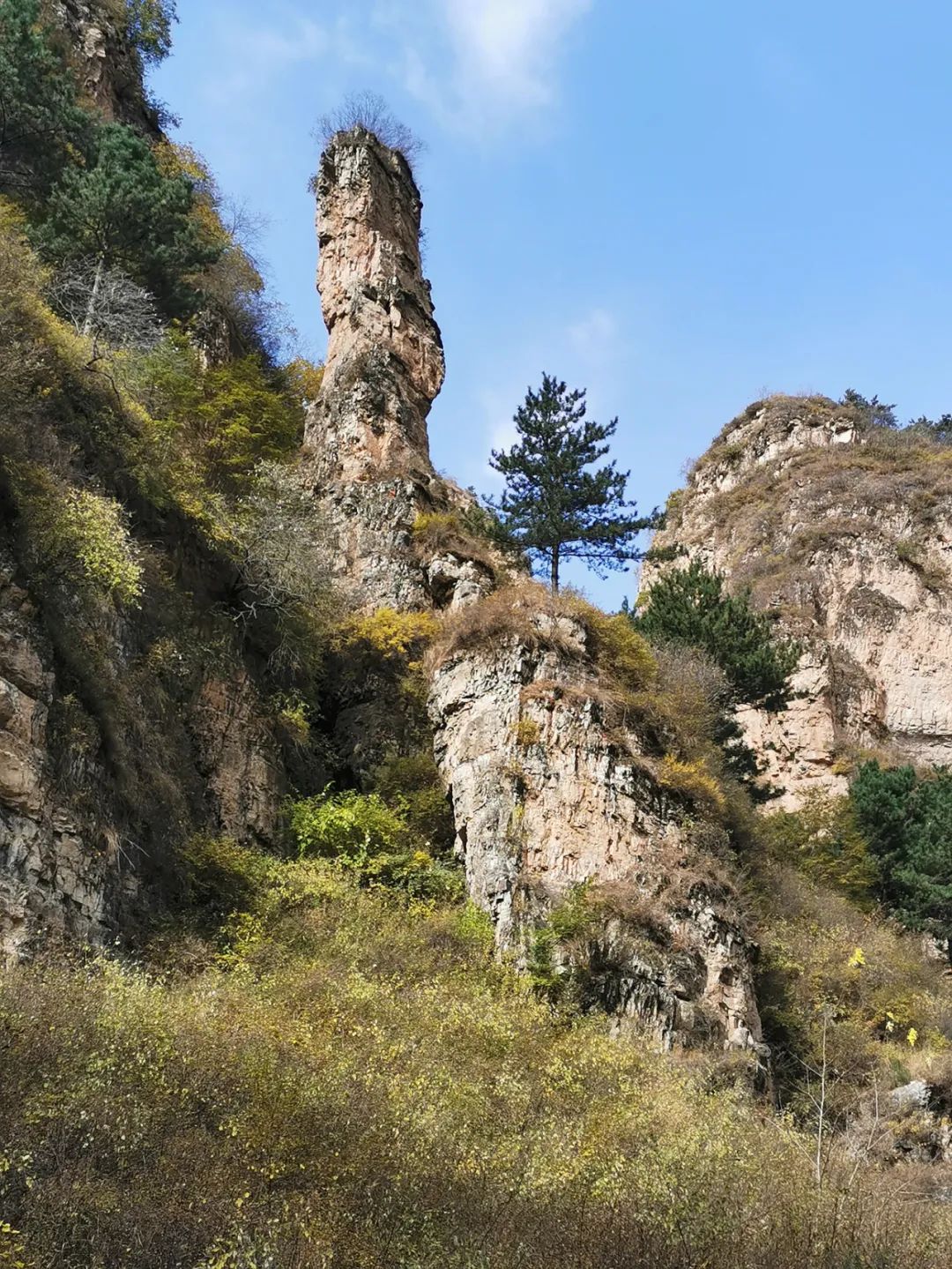 640_wx_fmt=jpeg&wxfrom=5&wx_lazy=1&wx_co=1 (22).jpg