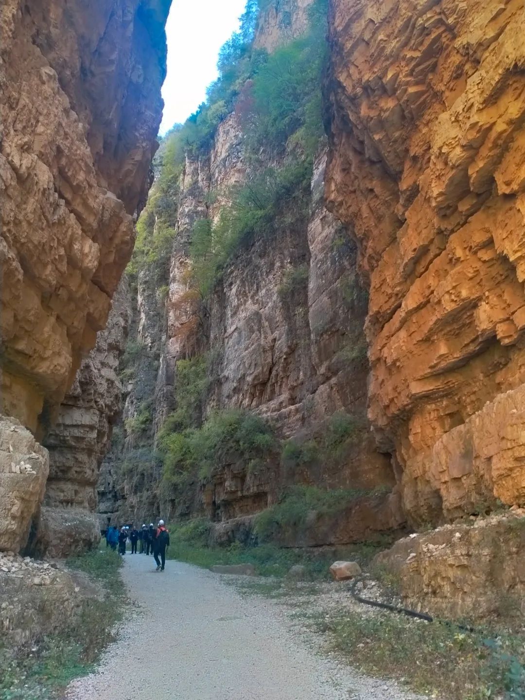 640_wx_fmt=jpeg&wxfrom=5&wx_lazy=1&wx_co=1 (23).jpg